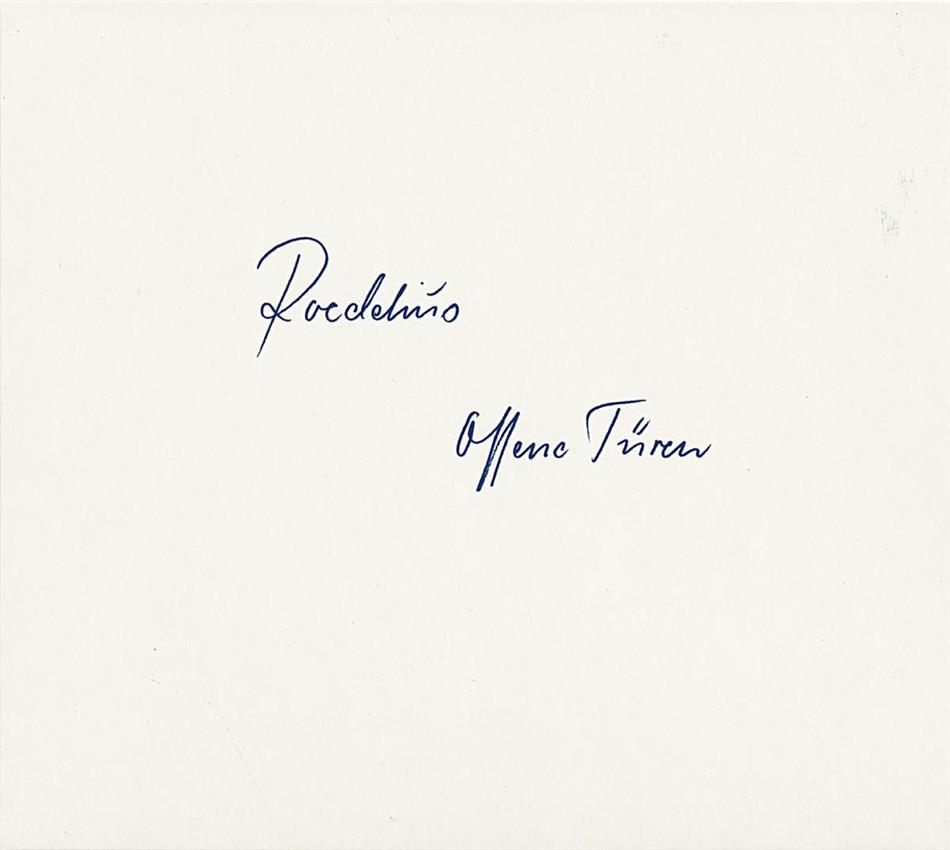 Roedelius - Offene Turen
