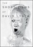 The short films of David Lynch (1966)