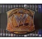 WWE: 2005 PPV Rewind (Édition Collector, 15 DVD)