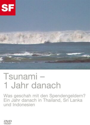 Tsunami - 1 Jahr danach
