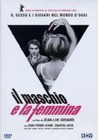 Il maschio e la femmina - Masculin féminin (1965)