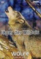 Wölfe - Rivalen der Wildnis - Jäger der Wildnis