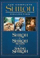 Shiloh - The complete film collection (3 DVDs)