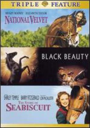 National Velvet / Black Beauty / The Story of Seabiscuit (2 DVDs)