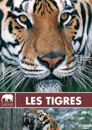 Les tigres (Collection Safari)