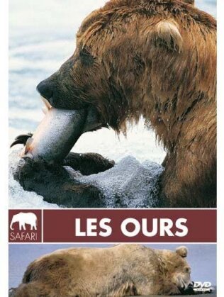Les ours (Collection Safari)