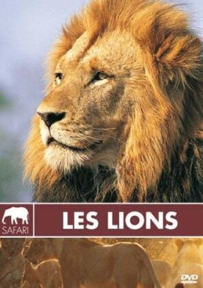 Les lions (Collection Safari)