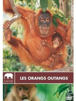 Les orangs outangs (Collection Safari)