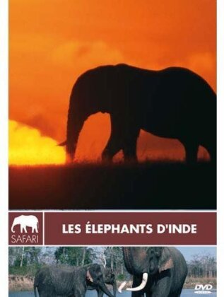 Les éléphants d'Inde (Collection Safari)