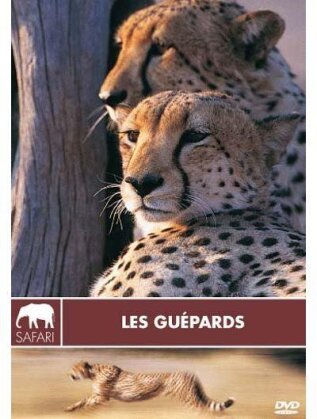 Les guépards (Collection Safari)