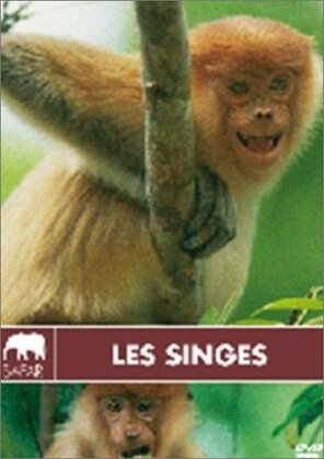 Les singes (Collection Safari)
