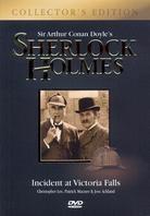 Sherlock Holmes - Incident at Victoria Falls (1992) (Collector's Edition, 2 DVDs)