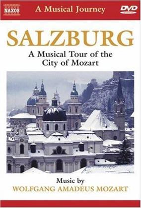 A Musical Journey - Salzburg - A Musical Tour of the City of Mozart (Naxos)