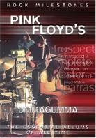 Pink Floyd - Ummagumma (Inofficial)