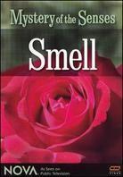 NOVA - Mystery of the Senses - Smell