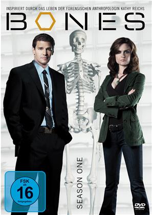 Bones - Staffel 1 (6 DVDs)