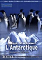 L'Antarctique, une aventure différente (Imax)