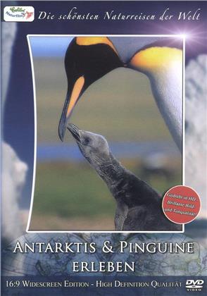 Antarktis & Pinguine erleben