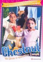 Chestnut - L'eroe di Central Park