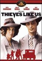 Thieves like us (1974)
