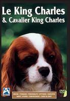 Le King Charles & Cavalier King Charles