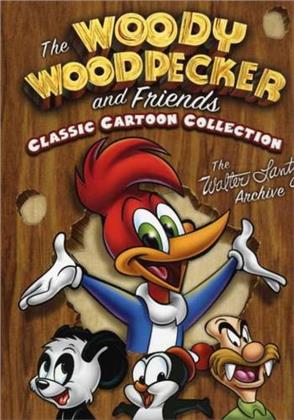 Woody Woodpecker and Friends - Classic Cartoon Collection (3 DVDs)