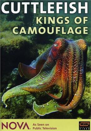 NOVA - Cuttlefish - Kings of Camouflage