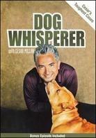 Dog Whisperer with Cesar Millan - Cesar's Toughest Cases