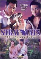 Stray Cats