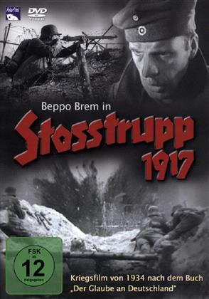 Stosstrupp 1917 (2 DVDs)