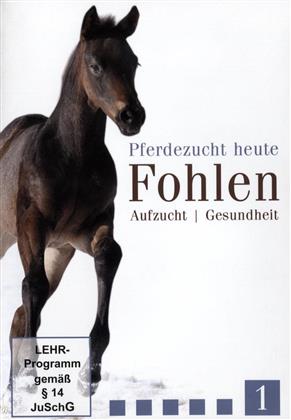 Pferdezucht heute - Teil 1 - Fohlen - Aufzucht / Gesundheit