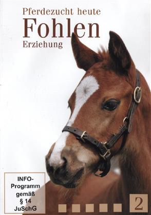 Pferdezucht heute - Teil 2 - Fohlen - Erziehung
