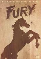 Fury - Die Abenteuer eines Pferdes (Holzbox, 4 DVDs)