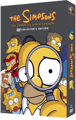 Les Simpson - Saison 6 (4 DVDs)