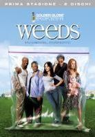 Weeds - Stagione 1 (2 DVDs)