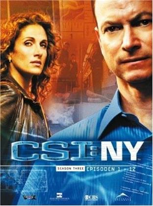CSI: New York - Staffel 3.1 (3 DVDs)