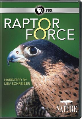 Nature - Raptor Force