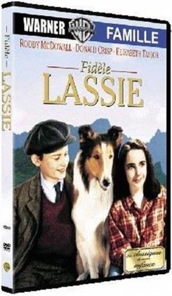 Fidèle Lassie - Lassie come home (1943)