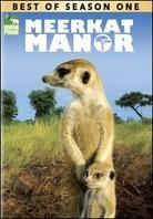 Meerkat Manor - Best of Season 1
