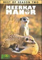 Meerkat Manor - Best of Season 2