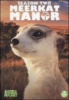 Meerkat Manor - Season 2 (2 DVDs)