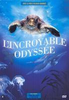 L'incroyable Odyssée - The Turtles Song (2008) (2009)