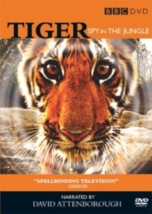 Spy in the Jungle - Tiger