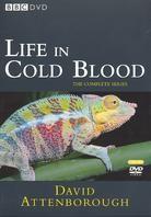 Life in cold blood