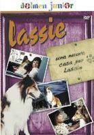 Lassie - Una nuova casa per Lassie (1978)