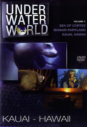 Under Water World - Kauai - Hawaii