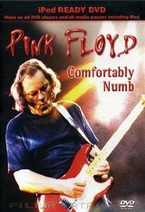 Pink Floyd - Comfortably Numb (Inofficial)