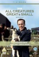 All creatures great & small - Series 6 (3 DVDs)