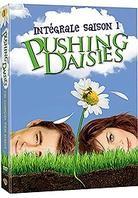 Pushing Daisies - Saison 1 (3 DVDs)