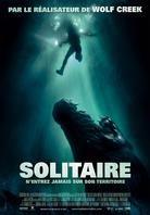 Solitaire - Rogue